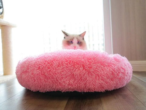 Plush Cat Bed